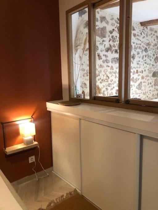 Le Cocon-centre Ville-canal Royal Apartment