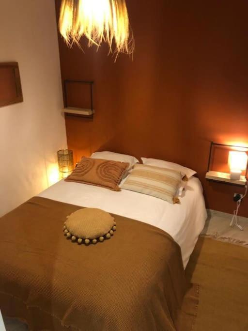 Appartement Le Cocon-centre Ville-canal Royal *